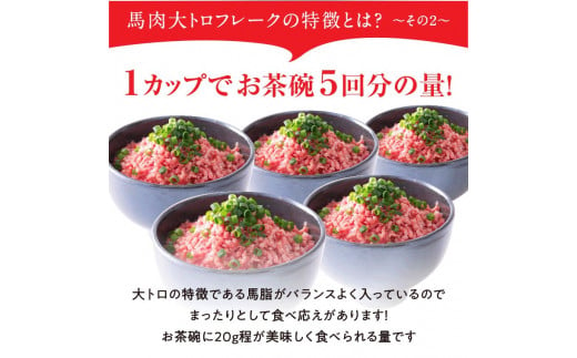 熊本県阿蘇市のふるさと納税 【国産】大トロフレーク300g