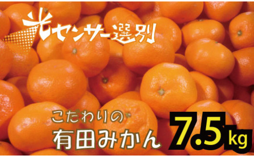 迫力満点 大粒 有田みかん 約7.5kg 2023年11月中旬～2024年1月中旬-