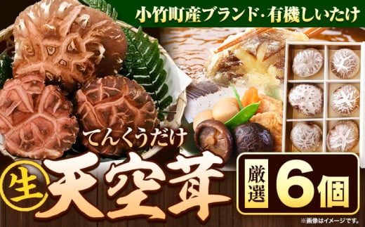 椎茸 生椎茸 しいたけ 天空茸 6個 《30日以内に出荷予定(土日祝除く)》アーマット福岡 有機栽培 きのこ 福岡県 小竹町 野菜 天ぷら 煮物 ミッションバレーゴルフクラブ