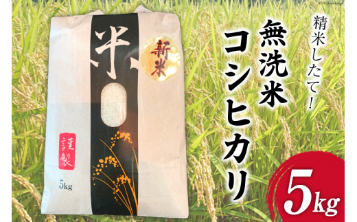 米 大黒園の新米 精米したて 無洗米 コシヒカリ 5kg [大黒園 宮崎県 日向市 452060163] 国産 こしひかり 精米 430944 - 宮崎県日向市