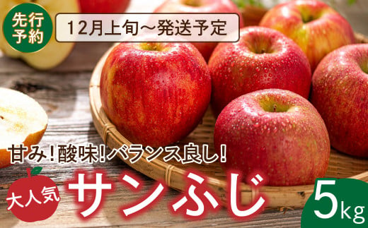 【 先行予約 】 りんご サンふじ 5kg 14～16玉 林檎 リンゴ 果物 果実 くだもの フルーツ 農家直送 減農薬 人気 ランキング ギフト プレゼント 贈答 熨斗 のし 福島県 福島 田村市 田村 ふくしま たむら 青柳堂 1532511 - 福島県田村市