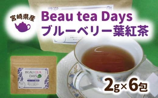 Beau tea Days ブルーベリー葉 紅茶　N048-YZA096