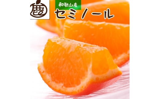 ＜4月より発送＞厳選 セミノールオレンジ5kg+150g（傷み補償分）有田産 618717 - 和歌山県印南町