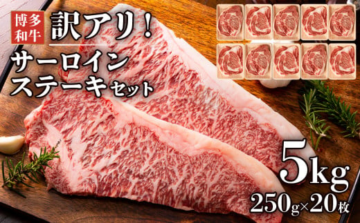 訳アリ！博多和牛サーロインステーキセット　5kg（250g×20枚） 571186 - 福岡県田川市
