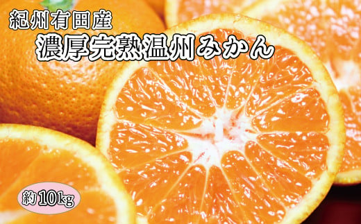 【先行予約】完熟有田みかん　10kg※2025年11月下旬頃〜2026年1月下旬頃に順次発送予定(お届け日指定不可)【uot705】