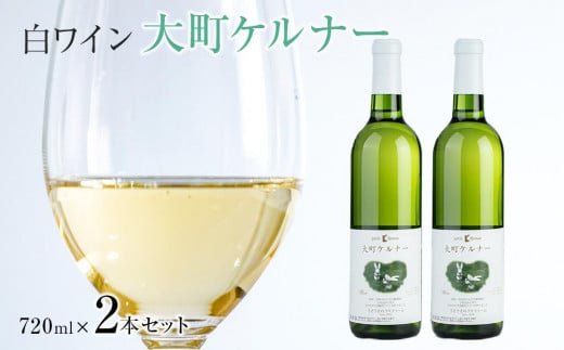 酒 ワイン 白ワイン セット ２本 × 720ml 長野県産 722352 - 長野県大町市