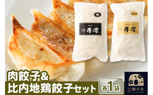 肉餃子＆比内地鶏餃子セット（12個入×各1袋ずつ） 1029191 - 秋田県横手市