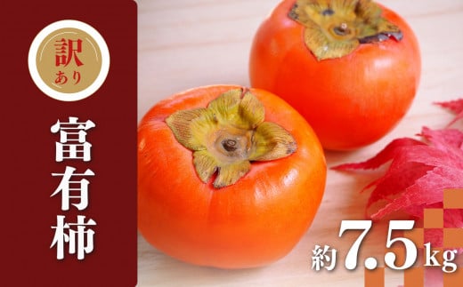 訳あり 富有柿 約7.5kg | フルーツ 果物 くだもの 柿 かき カキ 富有柿 産地直送 奈良県五 條市