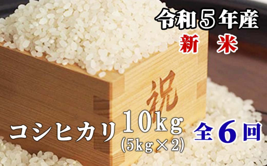 12回定期便】玄米 5kg 令和5年産 コシヒカリ 岡山 あわくら米米倶楽部