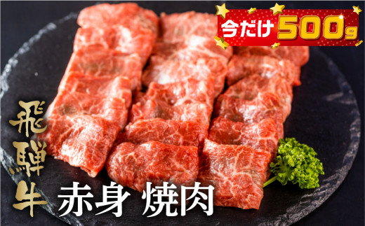 【9月限定 今だけ500g】最高級 飛騨牛もも焼肉用 450g A4 A5 等級 白川郷 てんから 冷蔵配送 飛騨牛 牛肉 焼き肉 [S176]  728530 - 岐阜県白川村