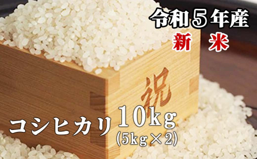 白米 10kg 令和5年産 コシヒカリ 岡山 「おおがや米」生産組合 G-ag-ACZA|株式会社エーゼログループ