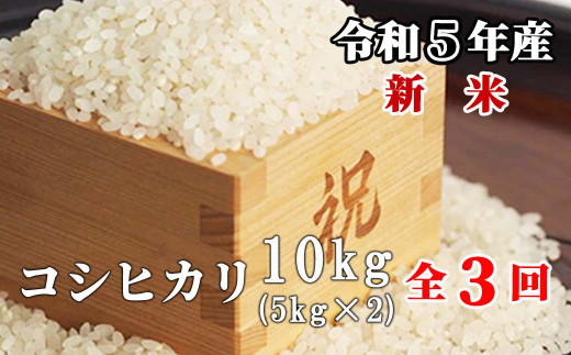 3回定期便】白米 10kg 令和5年産 コシヒカリ 岡山 「おおがや米」生産