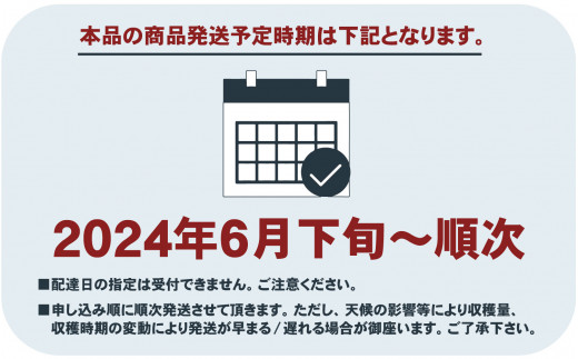 朝もぎ直送！『桃　白鳳系』5〜8玉 【発送時期2024年】【高機能共選機使用】選び抜かれた桃《もも 先行予約》 / フルーツ 果物 くだもの 桃 もも  先行予約 人気 産地直送