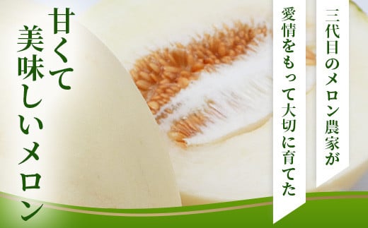 【2023年5月上旬発送開始】熊本県産 ホームランメロン 2玉 約3kg メロン フルーツ 果物