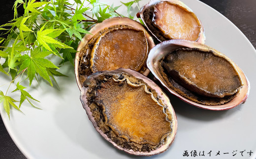 日本料理えのもと】《最高級品》天津小湊産（鴨川市）「煮鮑（煮貝）」房州赤あわび 大サイズ１個 [0027-0004] -  千葉県鴨川市｜ふるさとチョイス - ふるさと納税サイト