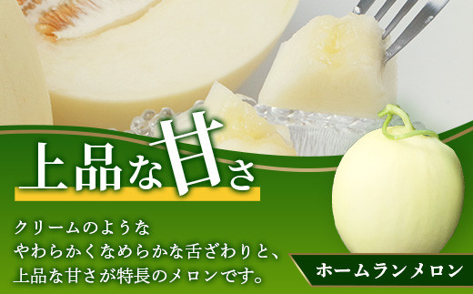 【2023年5月上旬発送開始】熊本県産 ホームランメロン 2玉 約3kg メロン フルーツ 果物
