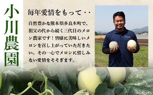 【2024年5月上旬発送開始】熊本県産 ホームランメロン アンデスメロン 食べ比べ 計5玉