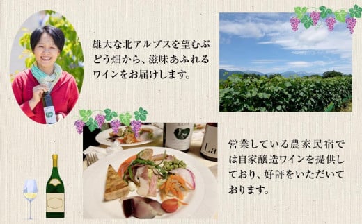 長野県大町市のふるさと納税 スパークリングワインセット　北天の雫&うさぎの泡ロゼ