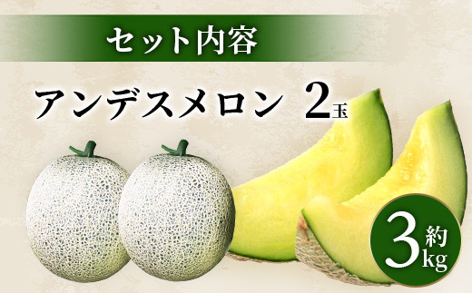 2024年5月上旬発送開始】【先行予約】熊本県産 アンデスメロン 2玉 約