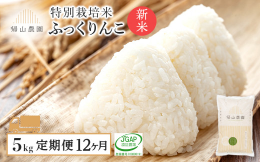【12カ月定期便】☆新米発送☆帰山農園　特別栽培米産地直送「ふっくりんこ 5㎏」《帰山農園》【定期便・頒布会特集】