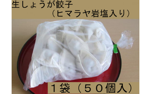 ヒマラヤ岩塩入り生しょうが餃子(22g×50個) 1034109 - 福島県喜多方市