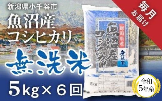 r05-60-2KT 令和5年産 無洗米 魚沼産コシヒカリ定期便5kg×6回（毎月お届け）（米太） 772695 - 新潟県小千谷市