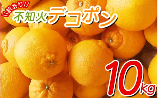 【訳あり】ちょこっと訳あり 不知火デコポン 約10kg【ご家庭用】サイズ混合  ＼光センサー選別／ ※2025年2月中旬より順次発送予定（お届け日指定不可）不知火 デコポン 柑橘 みかん 果物 くだもの フルーツ みかん 和歌山【nuk121C】 1763661 - 和歌山県すさみ町