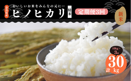 定期便 3回 】新米 奈良県産 ヒノヒカリ 精米 10kg （ 計30kg ）米