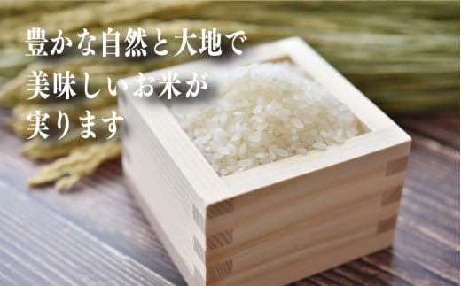 新米 奈良のお米セット 食べ比べセット（ 奈良県産 ヒノヒカリ 5kg x2 ...