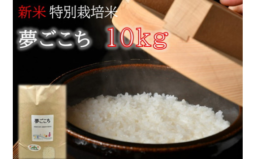 夢ごこち（特別栽培米）10kg（新米予約9月以降発送）【1-271】 435272 - 三重県松阪市