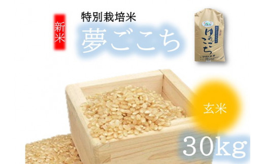 （新米）夢ごこち（特別栽培米）玄米 30㎏【002116】