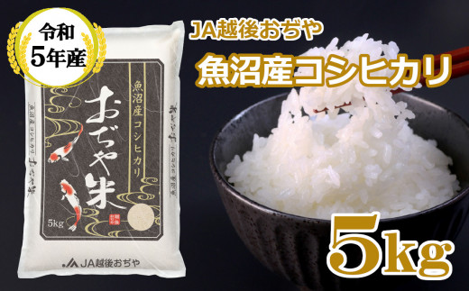 お米5kg令和元年魚沼産コシヒカリ白米
