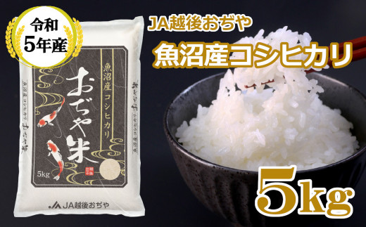 r05-11-1JA ＜令和5年産＞ 魚沼産コシヒカリ5kg（JA越後おぢや）白米 ...