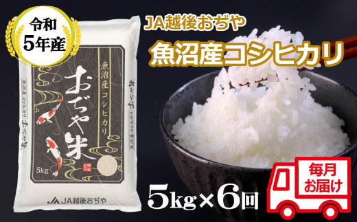 新潟県小千谷市のふるさと納税 お礼の品ランキング【ふるさとチョイス】