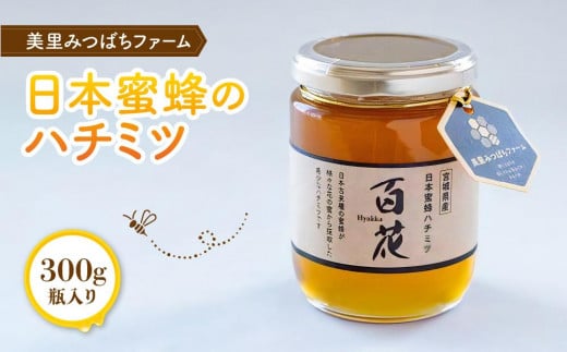 日本蜜蜂のハチミツ（300g） 505283 - 宮城県美里町