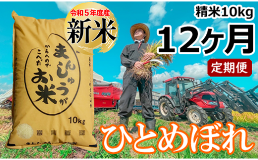 令和５年度産＞雫石町産「ひとめぼれ」精米10kg＜定期便12ヶ月＞【藤原