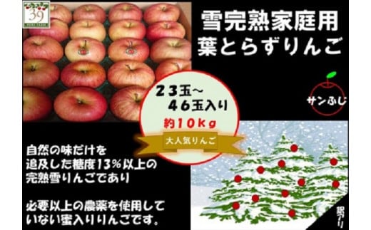 りんご 【 数量限定 】12月発送 訳あり 蜜入り 糖度13度以上 家庭用 雪完熟 葉とらずサンふじ 約 10kg 23～46個【 弘前市産 青森りんご 】 893916 - 青森県弘前市