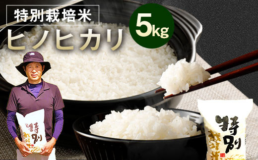 【令和5年産】 相良村産 特別栽培米 ヒノヒカリ 5kg 1044043 - 熊本県相良村