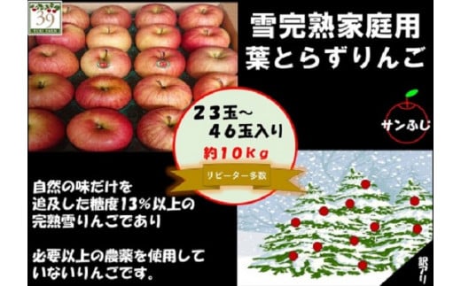 りんご 【 数量限定 】1～2月発送 訳あり 糖度13度以上 家庭用 雪完熟 葉とらずサンふじ 約 10kg 23～46個【 弘前市産 青森りんご 】 685038 - 青森県弘前市