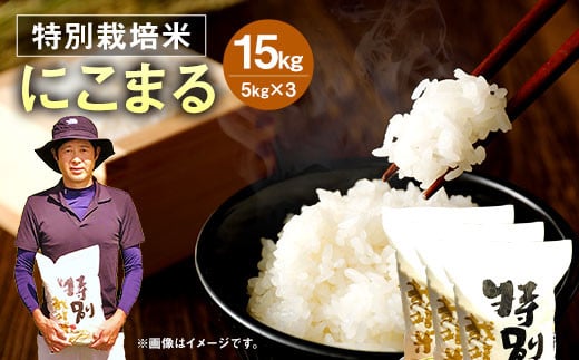 【令和5年産】相良村産 特別栽培米 にこまる 15kg  1044049 - 熊本県相良村