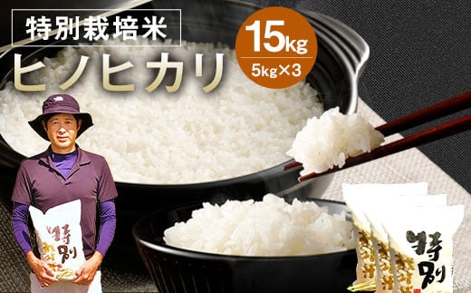 【令和5年産】 相良村産 特別栽培米 ヒノヒカリ 15kg 1044045 - 熊本県相良村