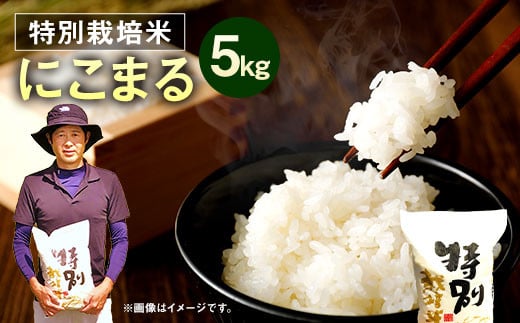 【令和5年産】相良村産 特別栽培米 にこまる 5kg  1044047 - 熊本県相良村