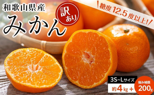 訳ありみかん約4kg箱+痛み補償200g(3S～Lサイズ混合)和歌山県産〈糖度12.5度以上〉 1031561 - 和歌山県海南市