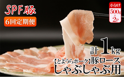 【6ヵ月 定期便 】 豚肉 しゃぶしゃぶ とようらポーク 1kg ロース 豚しゃぶ 北海道 豊浦産 SPF豚