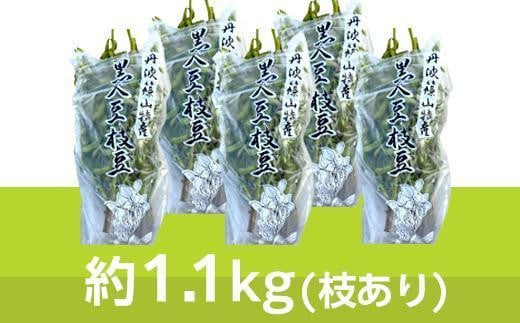 【2024年10月中旬発送】丹波黒枝豆1.1kg×5(枝あり)
