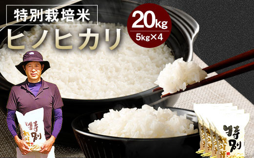 【令和5年産】相良村産 特別栽培米 ヒノヒカリ 20kg