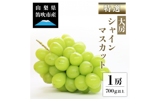 2023年発送 シャインマスカット 1房 約700～800g 山梨県笛吹市