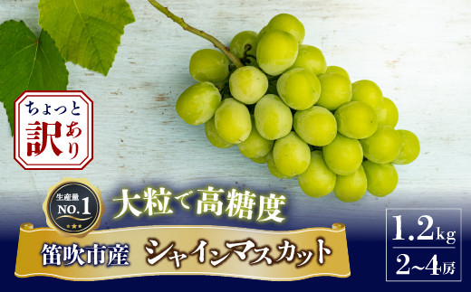 ちょっと訳アリ 『シャインマスカット』 山梨県産ぶどう 青秀品 2～3房