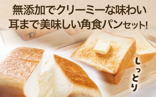 【旬感冷凍食パン パン・デマンド】 定番の 角食パン プレーン 4斤セット