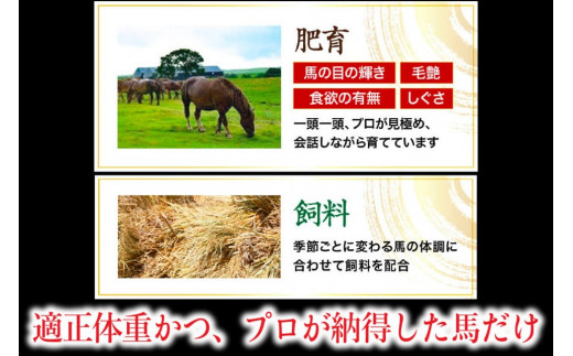 熊本県南小国町のふるさと納税 〈令和7年3月出荷〉肥後の桜馬刺し 上赤身 300g